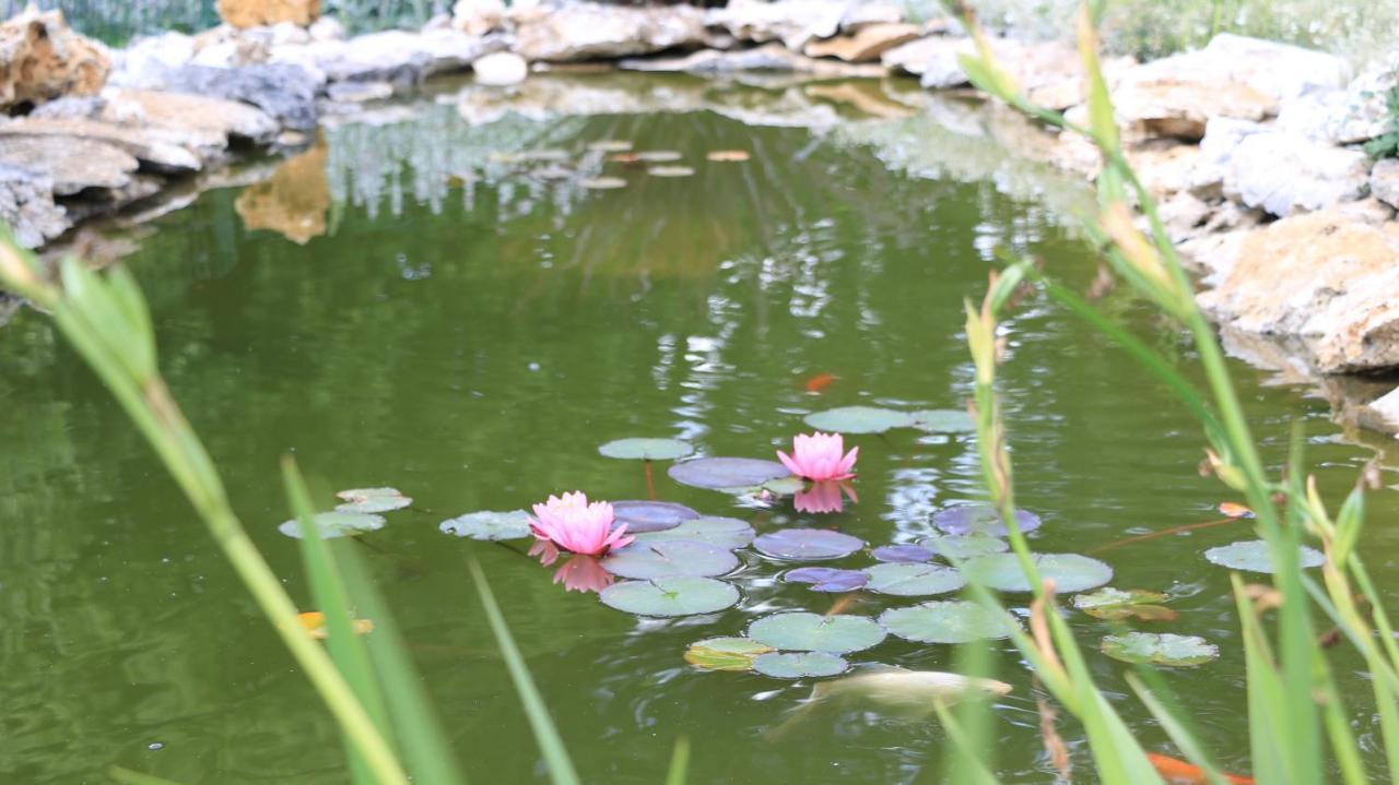 Chambre D'Hotes La Quercynoise Bed & Breakfast Montaigu-de-Quercy ภายนอก รูปภาพ